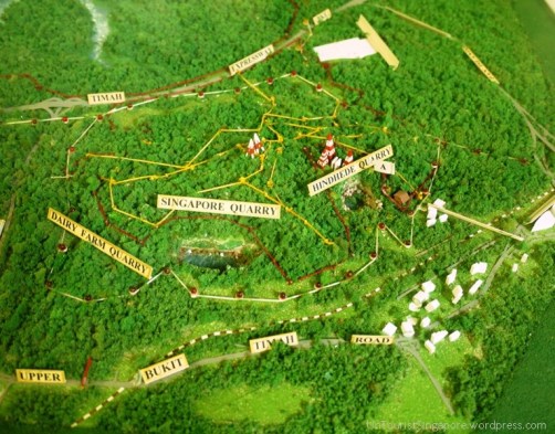 Model of Bukit Timah Hill